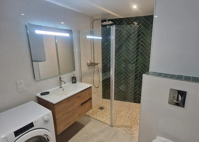 公寓 Appartement Vezzani Vezzani